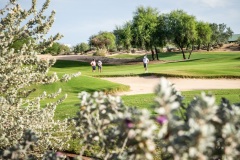 golf-course_6
